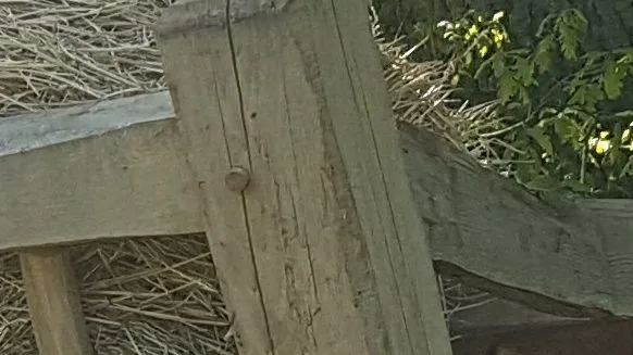 Deer Hay Manger Detail