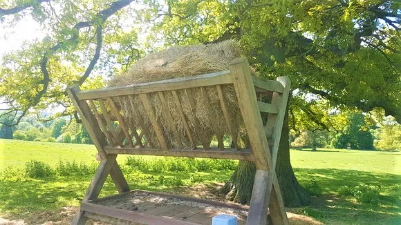 Deer Hay Manger