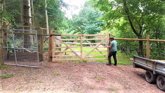 Oak Deer Fence Gate