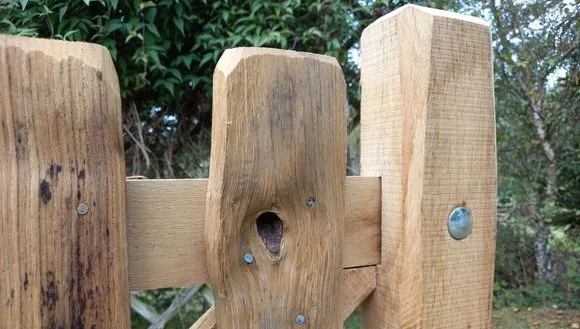 Cleft Pale Gate-3