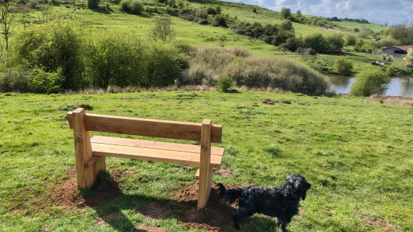 The Brandwood Bench - Image 3